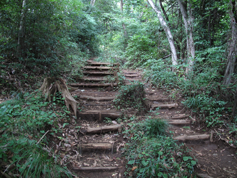 20171005hike (174)